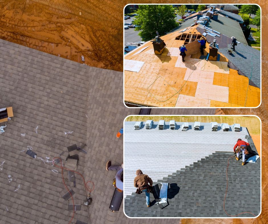 Roofer in Edmonton. Learn what it takes from experienced pros at No Water Roofing